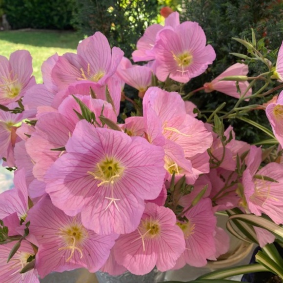 Joan Rivers Classics Collection Pave Crystal Rose Ring - Picture 11 of 13